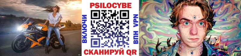 KRAKEN ТОР  Певек  Галлюциногенные грибы GOLDEN TEACHER 